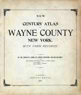 Wayne County 1904 